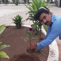 Green Seekers Activity